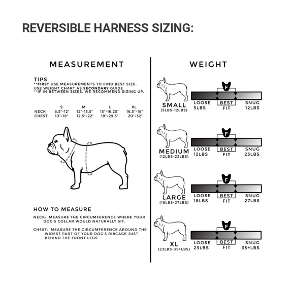 SOLD - Picture 5 of 5